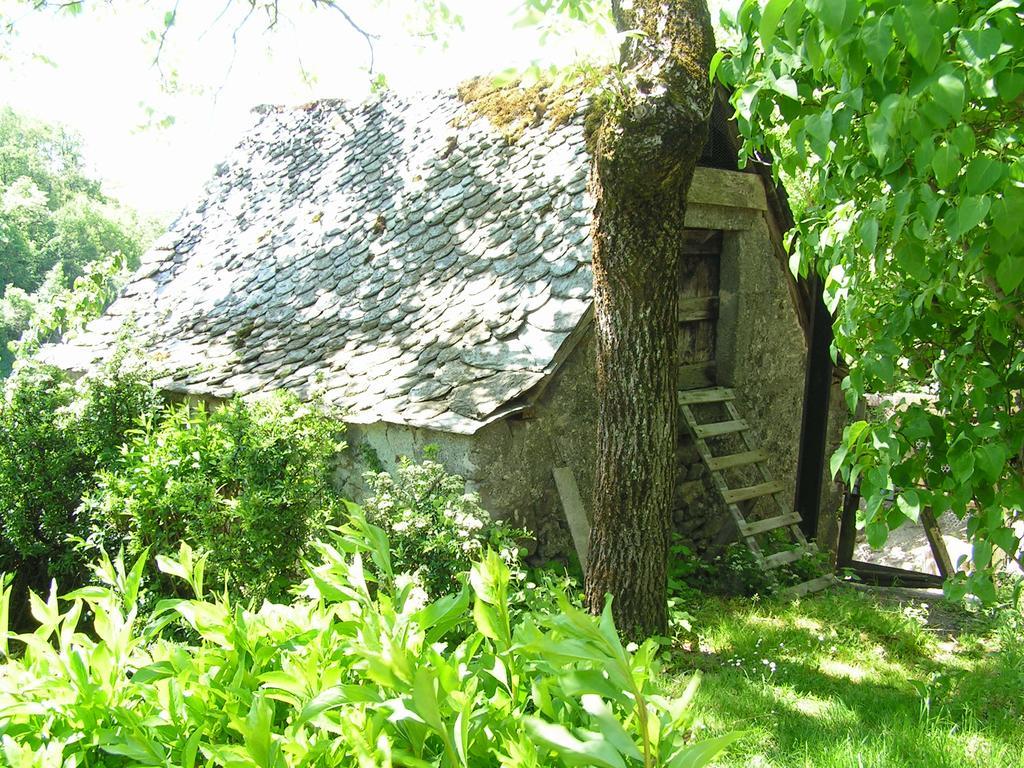 Casa vacanze De Carboniès *