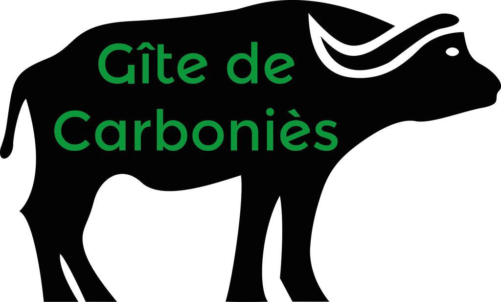 Holiday home De Carbonies Saint-Felix-de-Lunel
